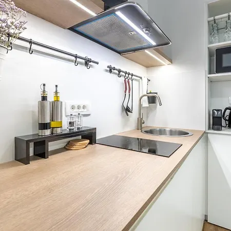 公寓 Old Quarter 卢布尔雅那