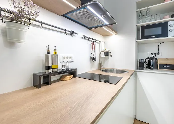 アパート Old Quarter リュブリャナ